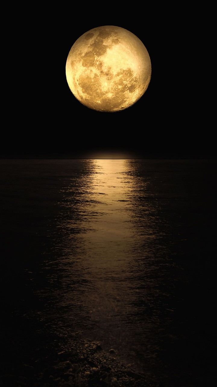 Wallpaper