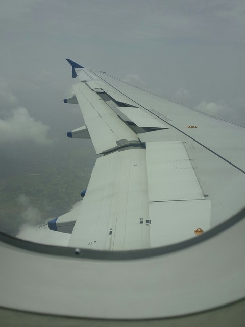 working of wings...