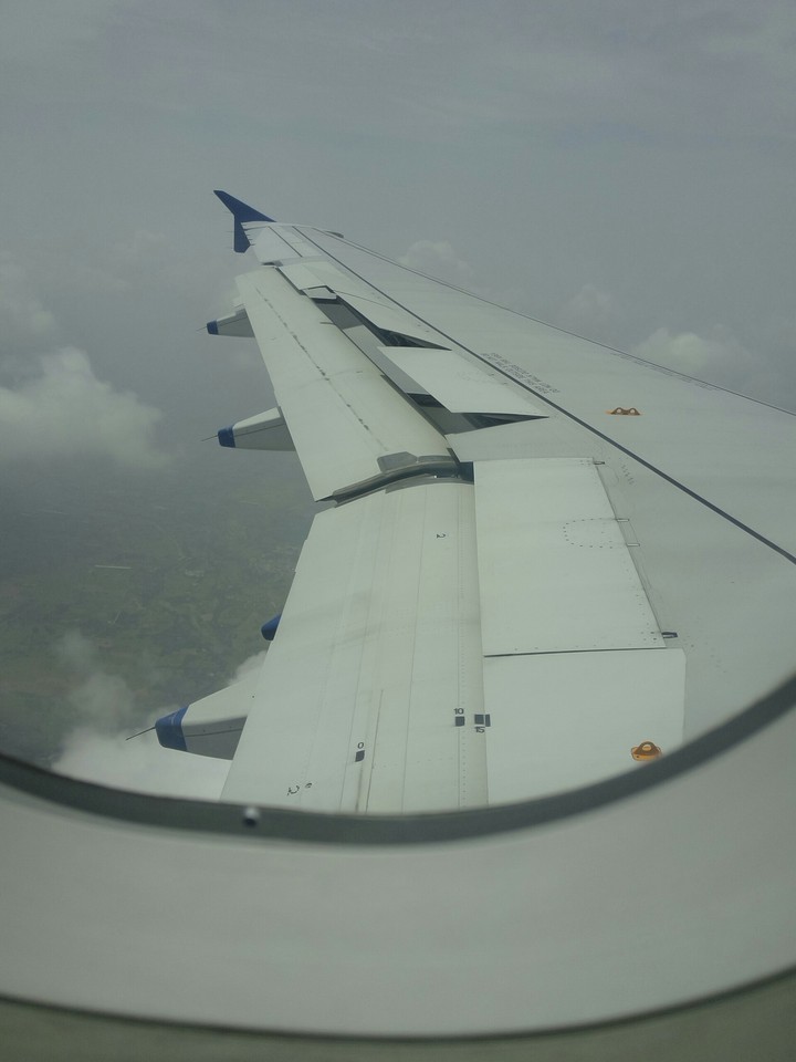 working of wings...