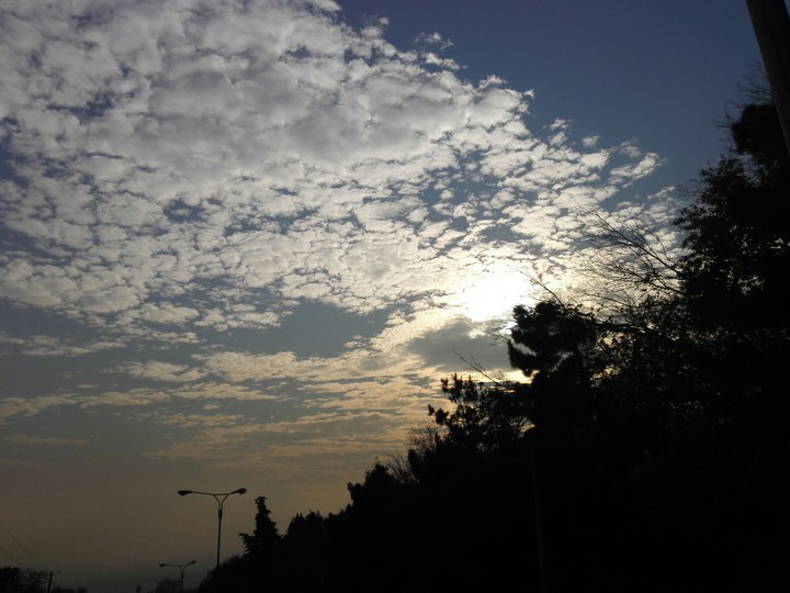 sunlight