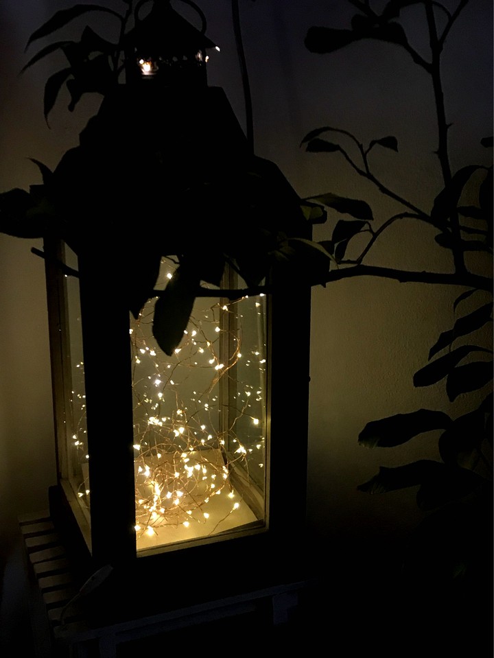 luci