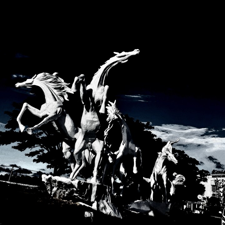 The Horse