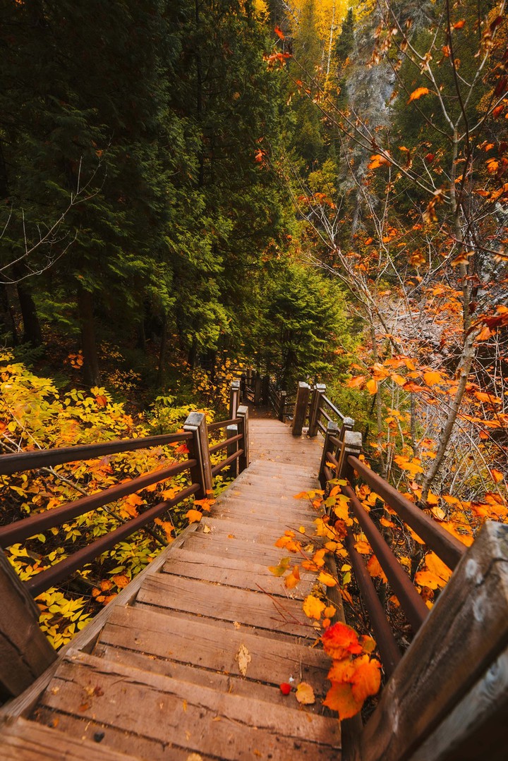 path