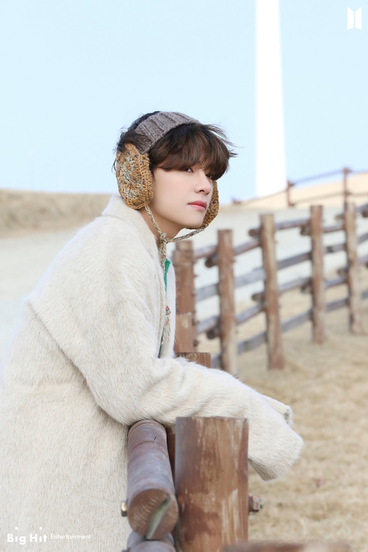 bts V