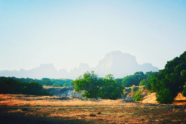 natural photography