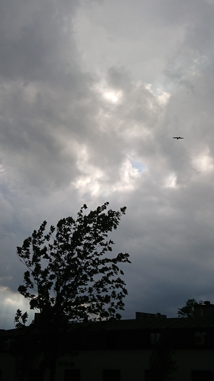 Storm is coming in Sweden