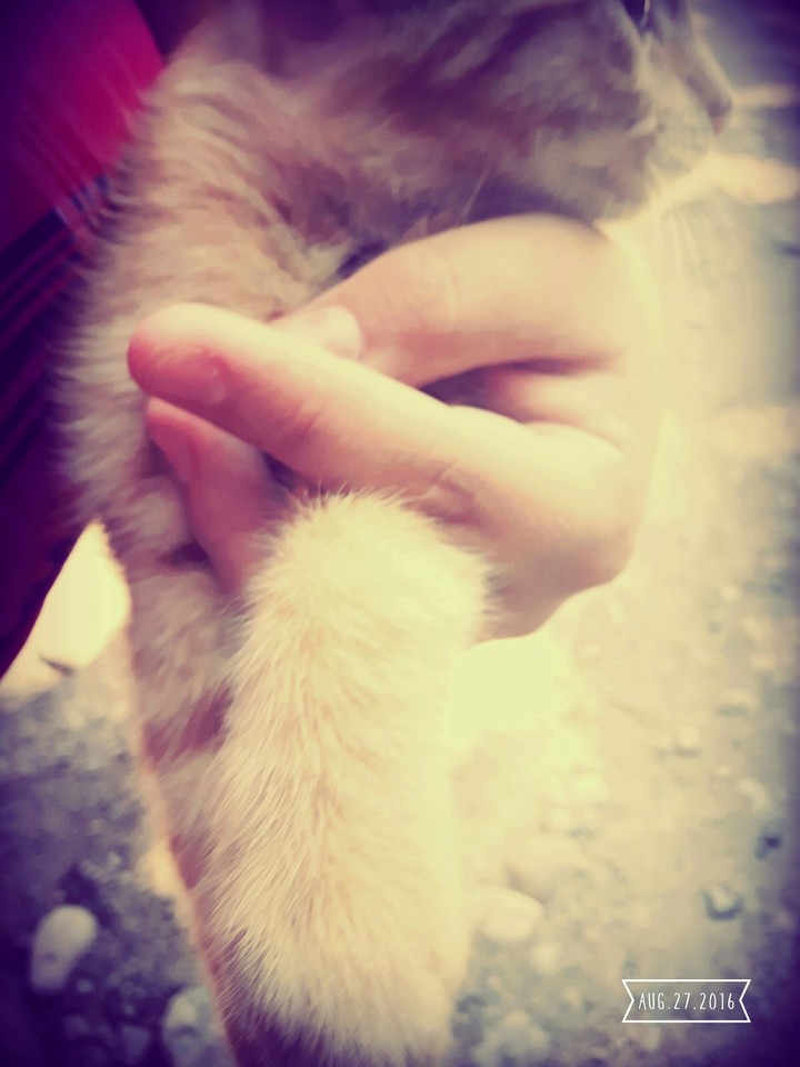 Touch