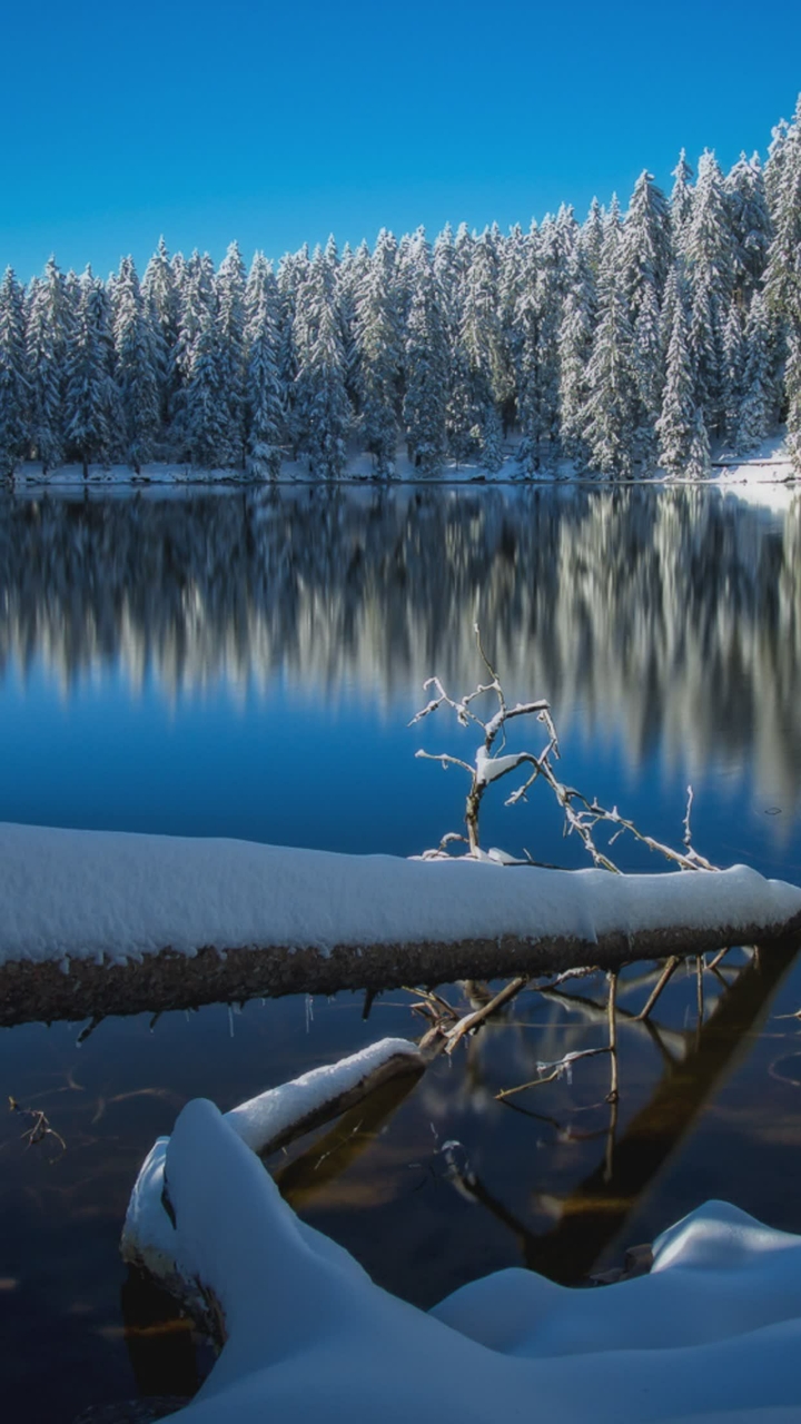 Lake at snow