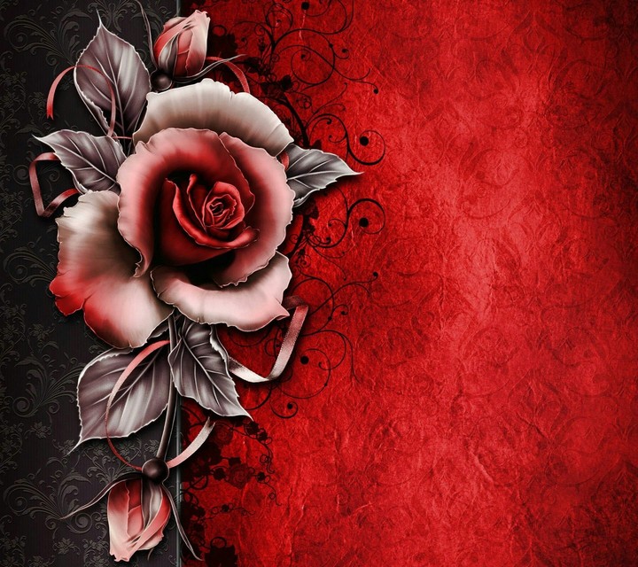 lajawab beautiful