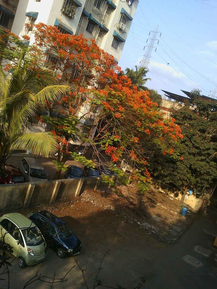 outside the window