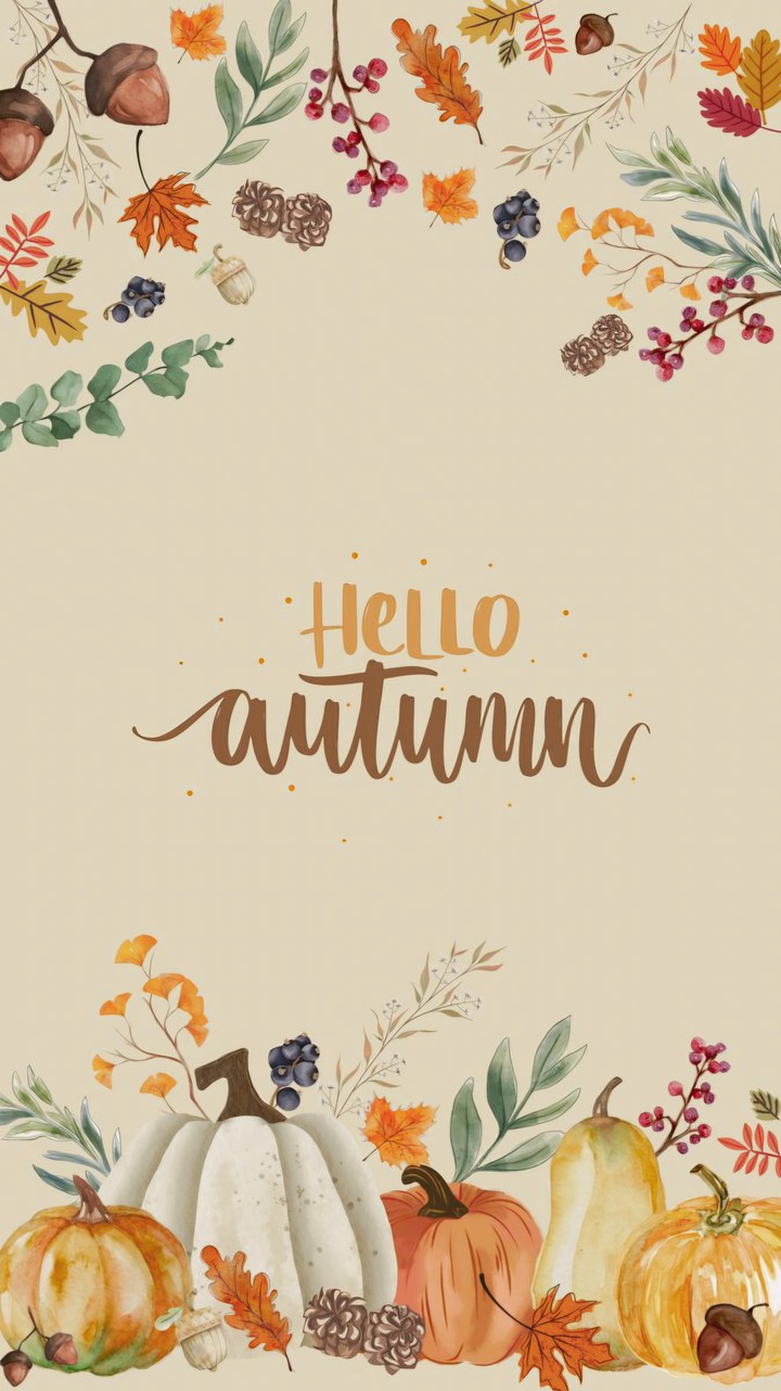 ~• Hello Autumn •~