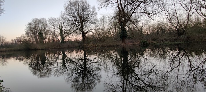 mirror