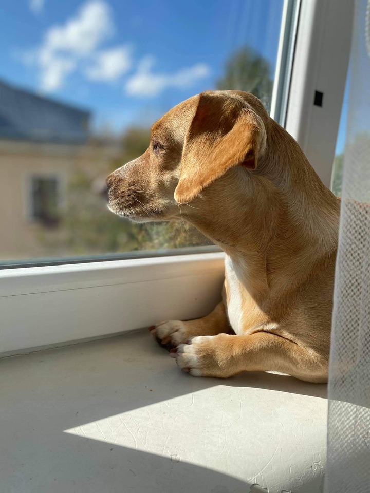 enjoying the sun