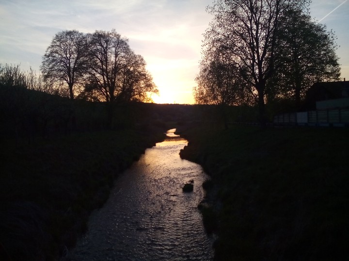 Summer sunset