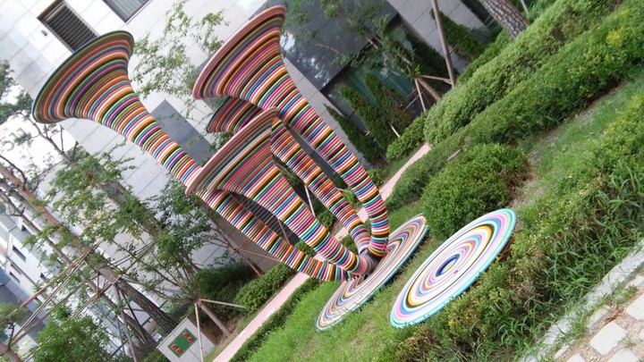 롤리팝