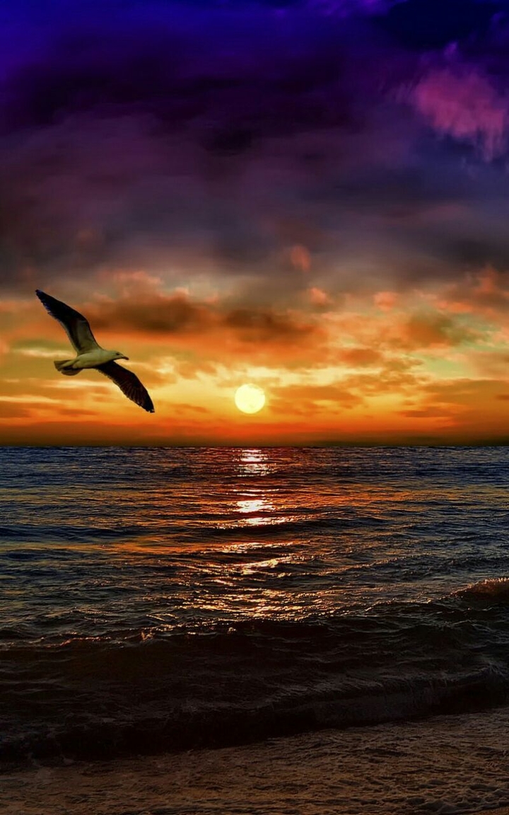 Romantic Evening ♡HM♡