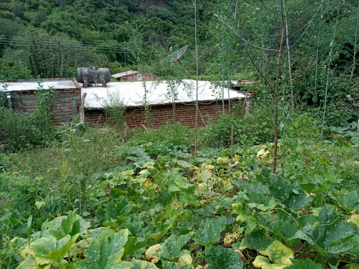 hacienda