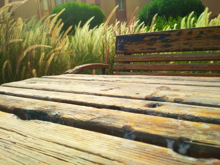 wood seat