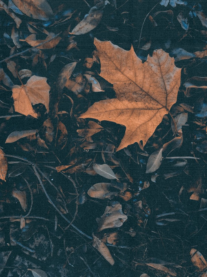 Autunno