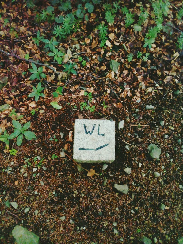 Wandern