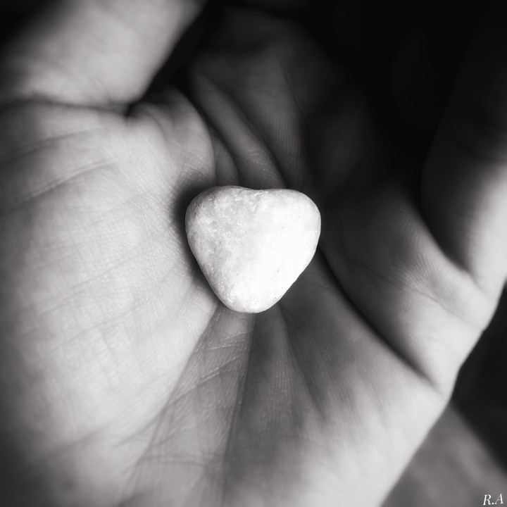 heart