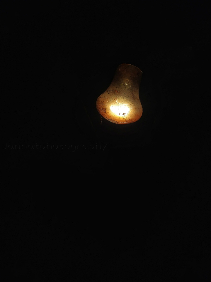 Darklight
