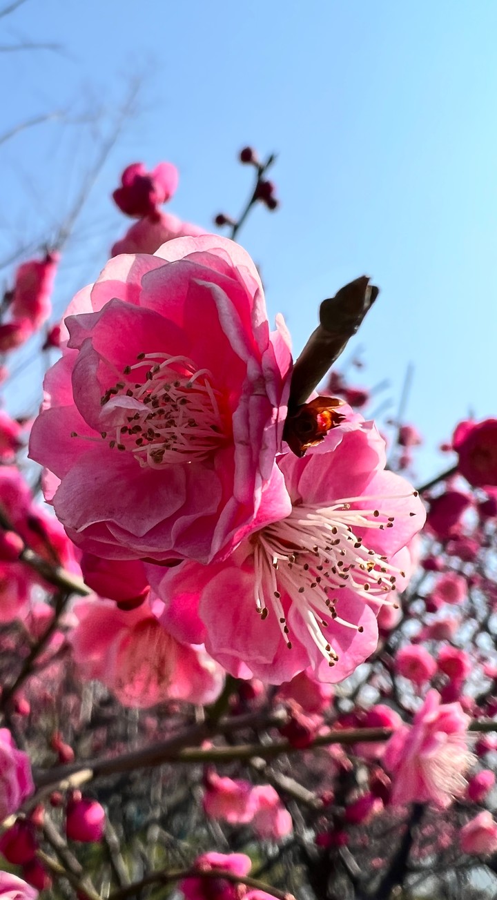 Spring is in the air
