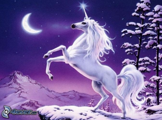 Unicorn