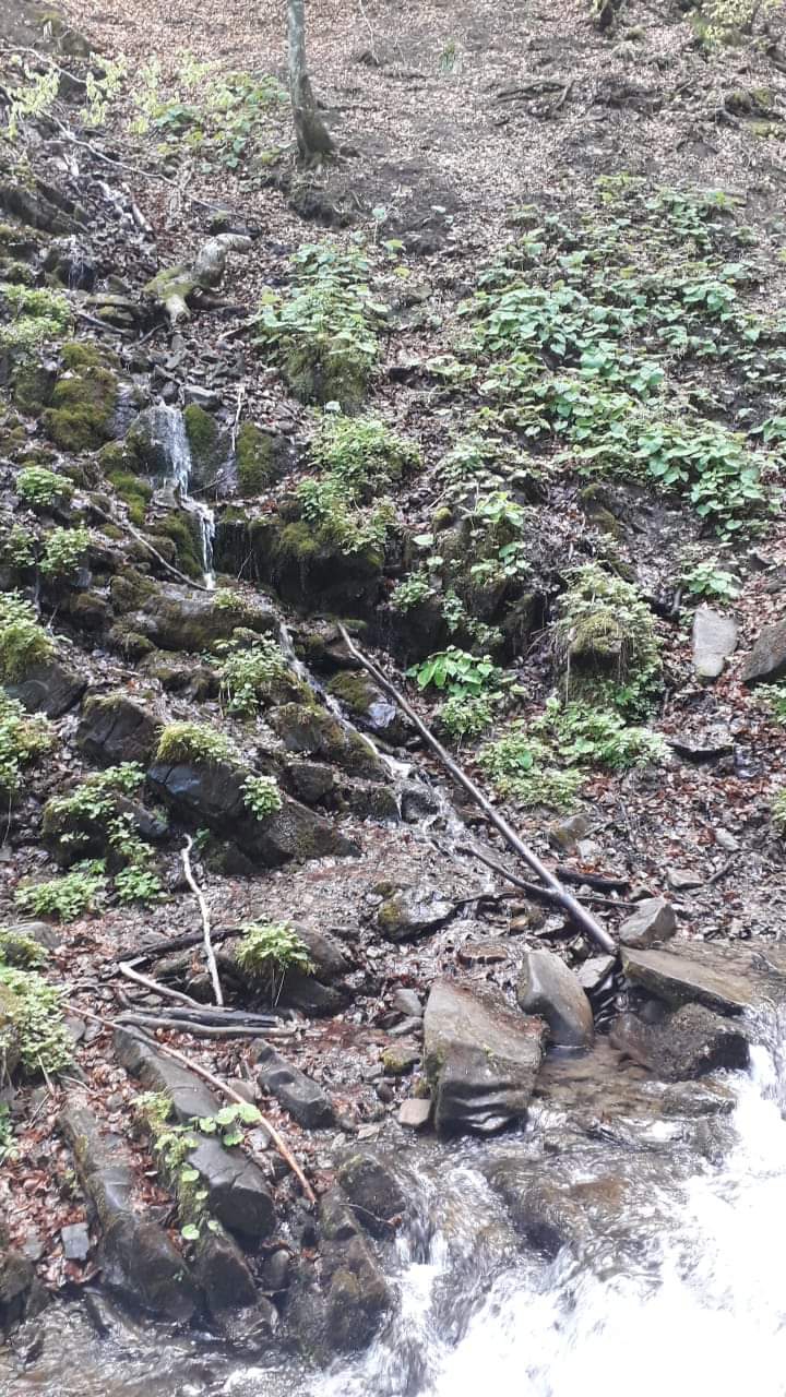Transcarpathia