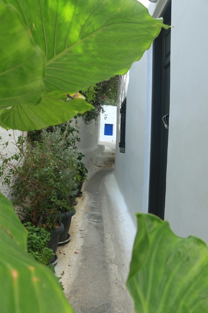 blue door
