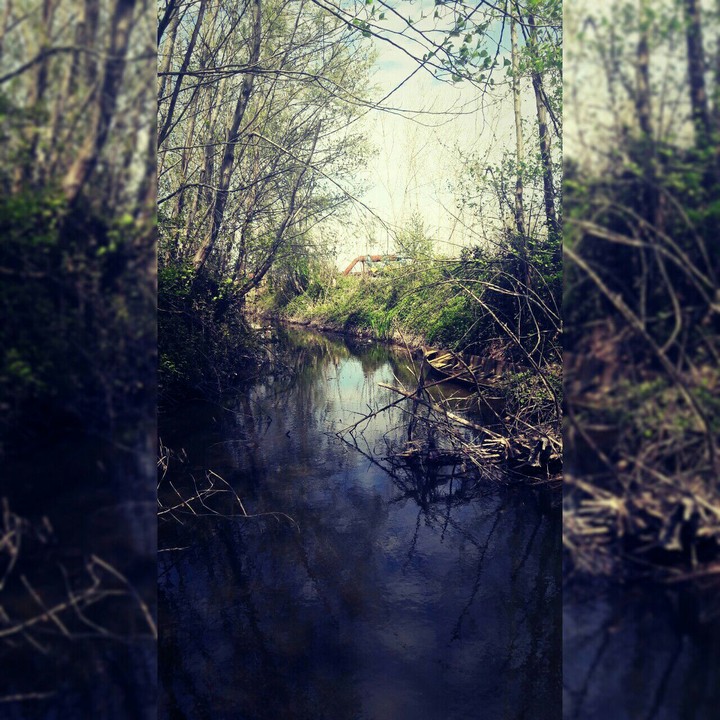 cold river,warm weather