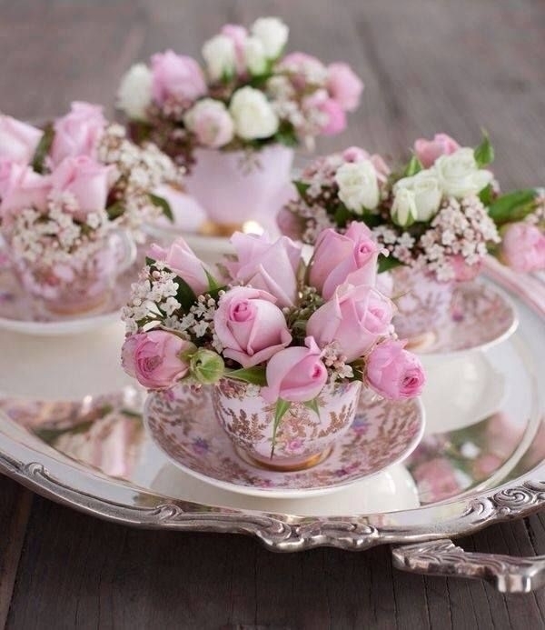 soft beauty