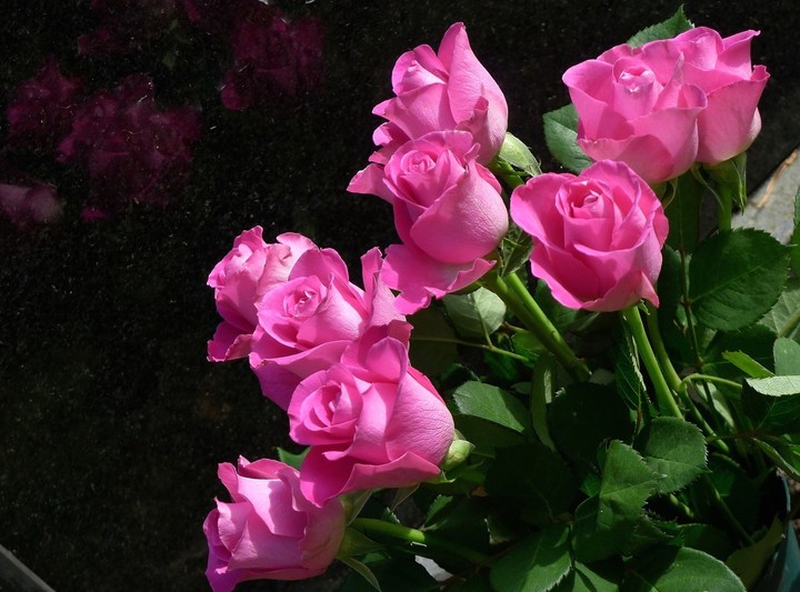 pink flowers