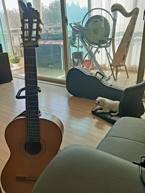 소중한 나의 기타
