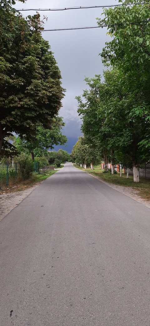 road in village