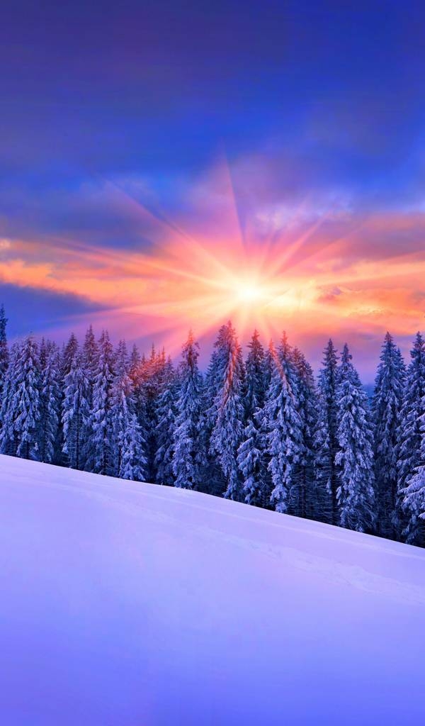 Winter