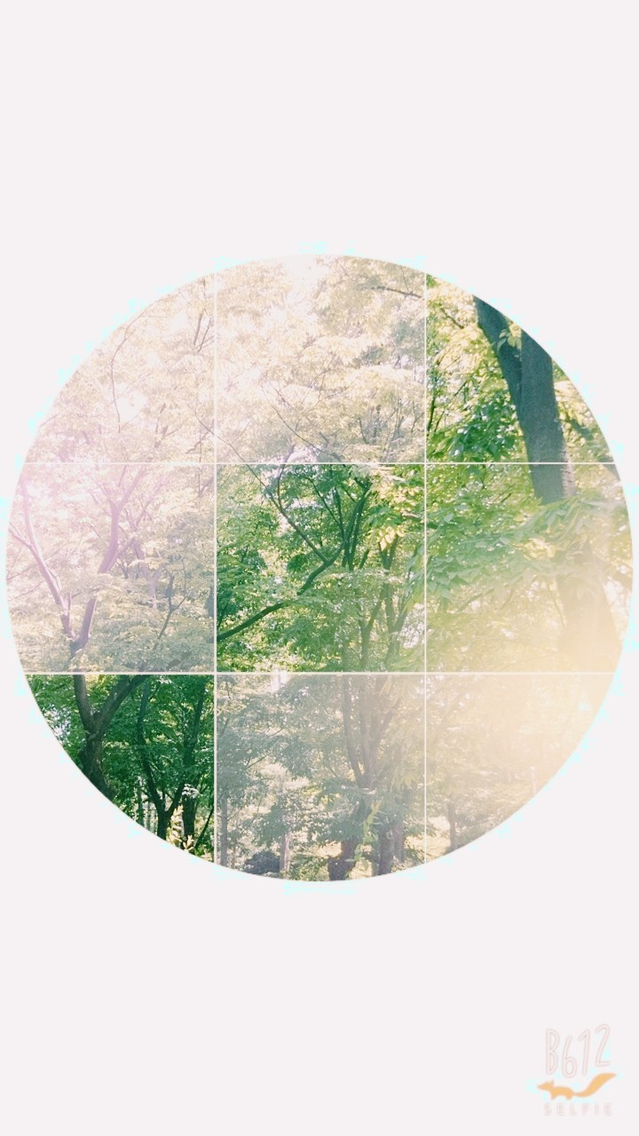 나무circle