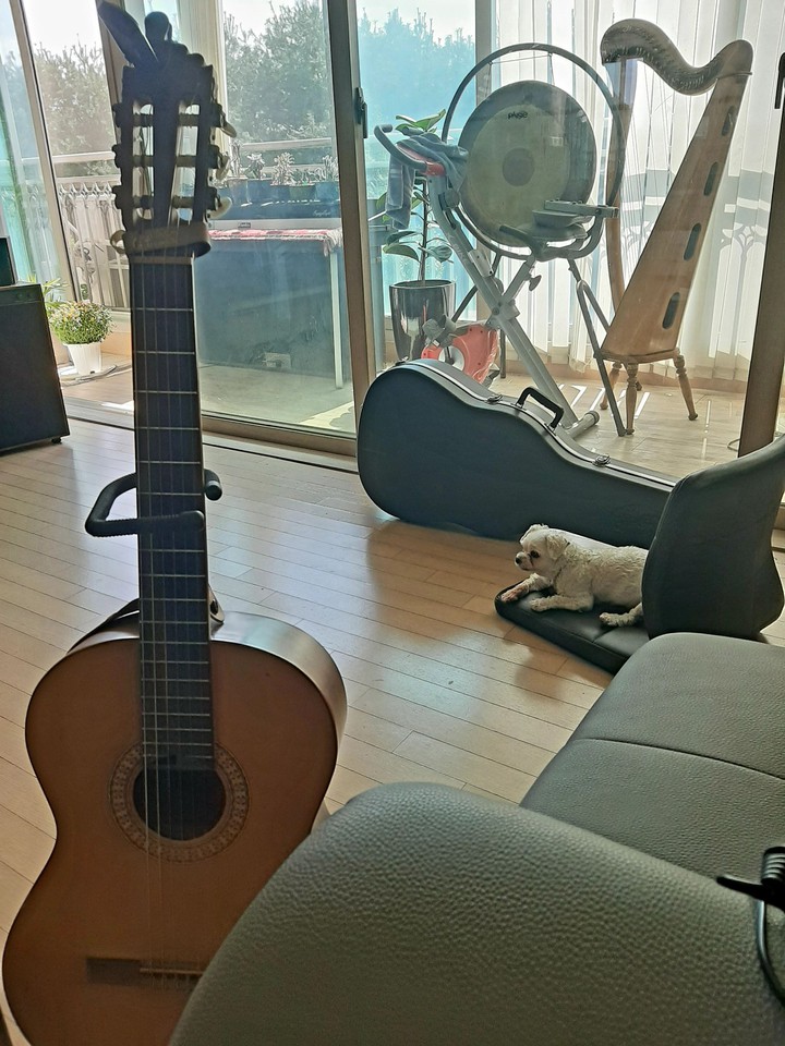 소중한 나의 기타