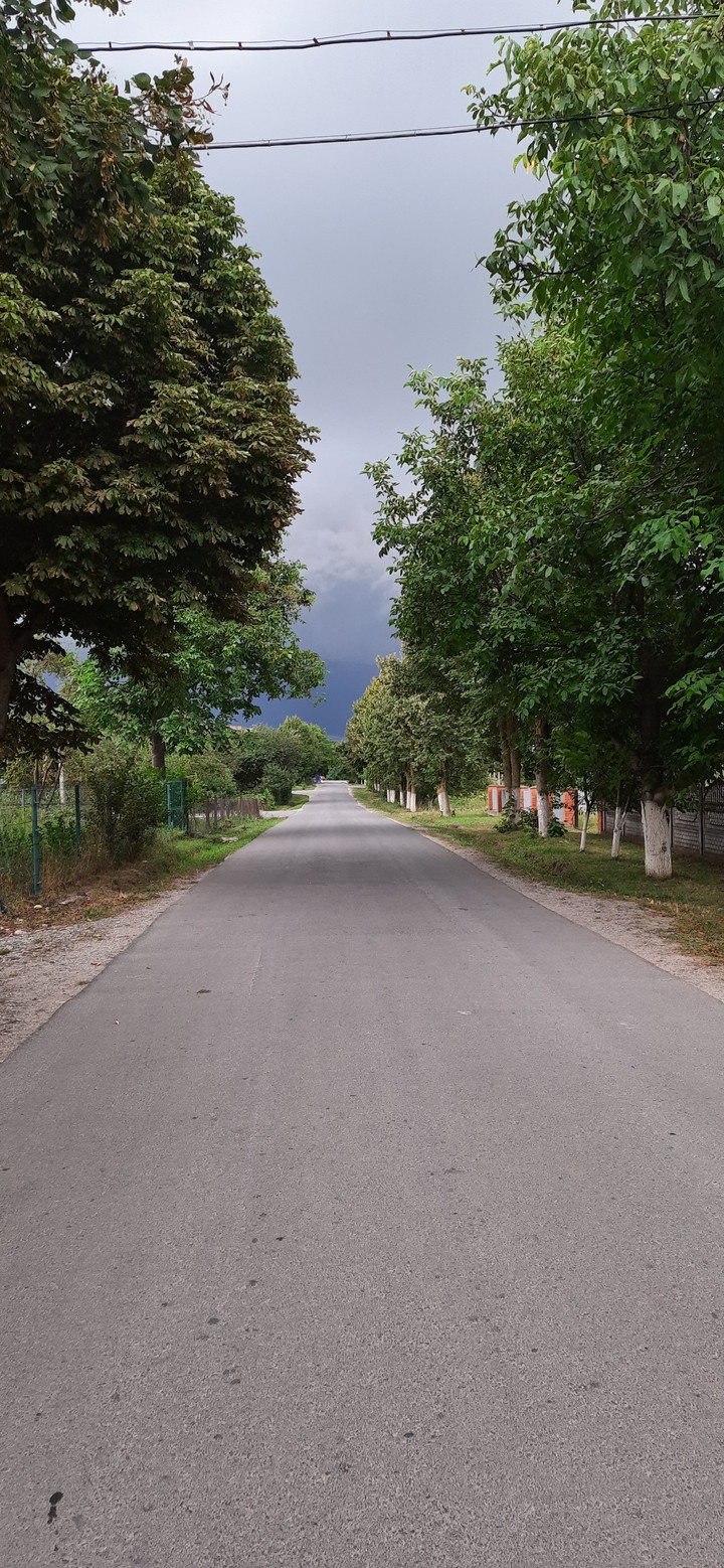 road in village