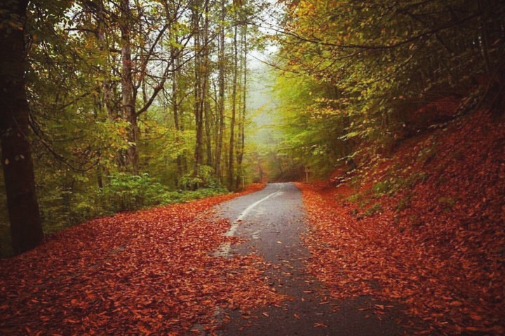 autumnal