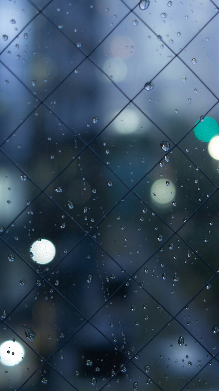 rain