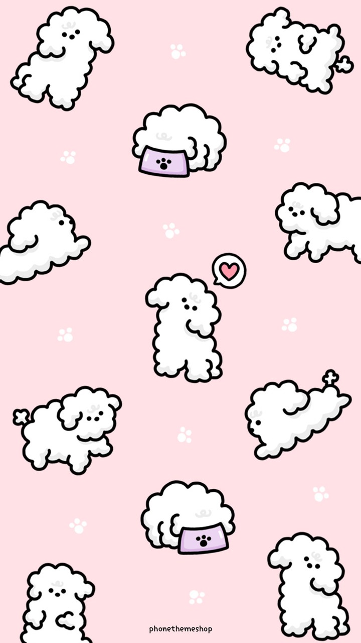 Poodle poodle