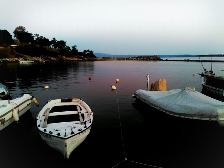 Pink Waters