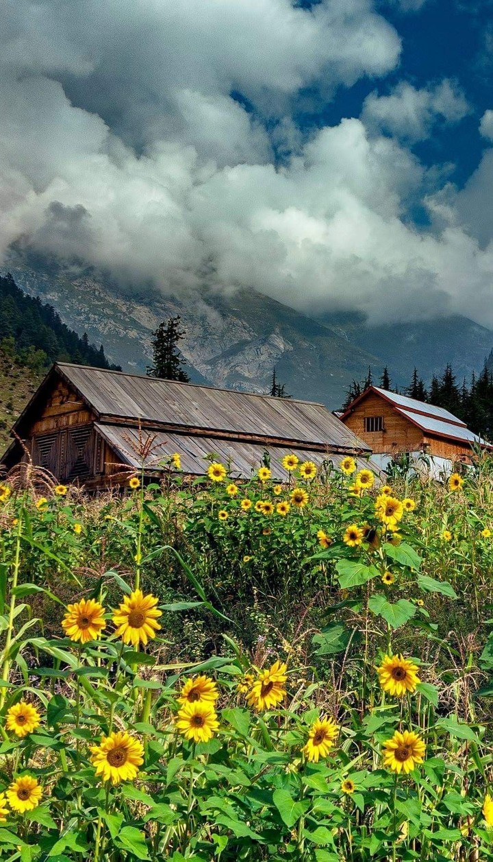 Explore the beauty of Pakistan