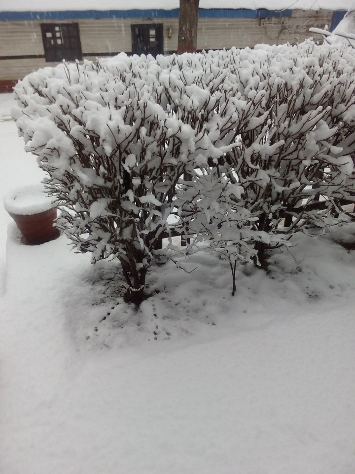 snow