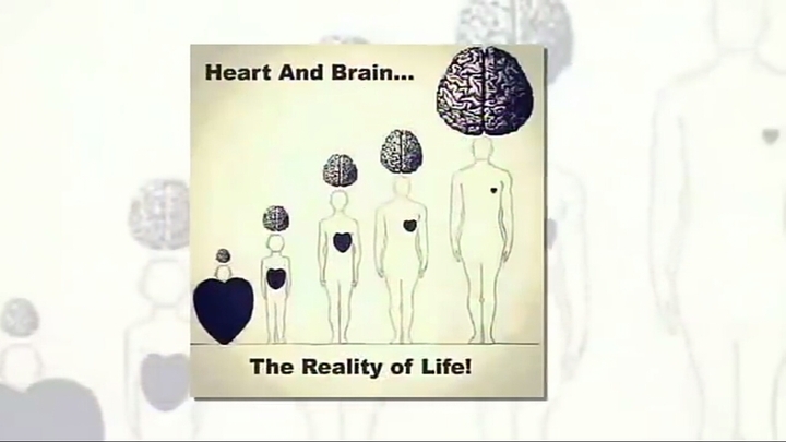 Human heart vs brain