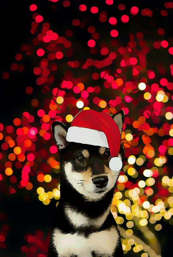 Merry Christmas!
