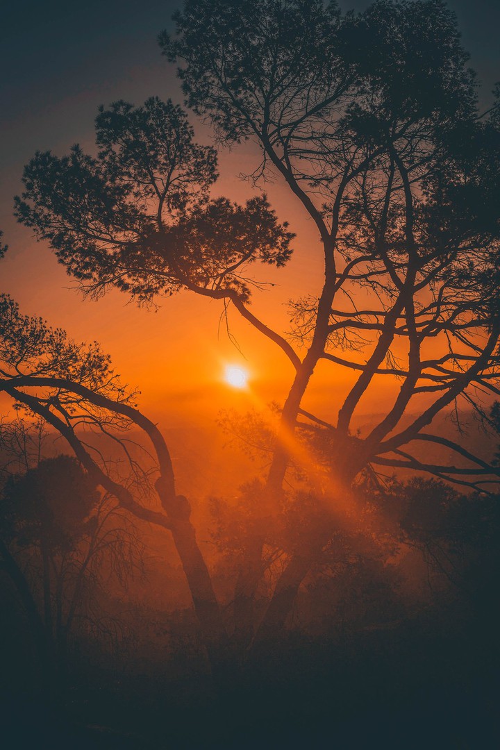 Awesome Sunrise