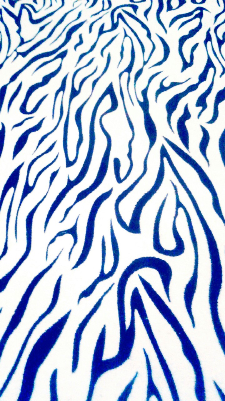 Blue Zebra