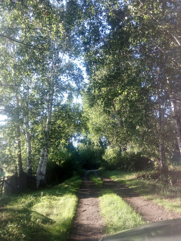 дорога